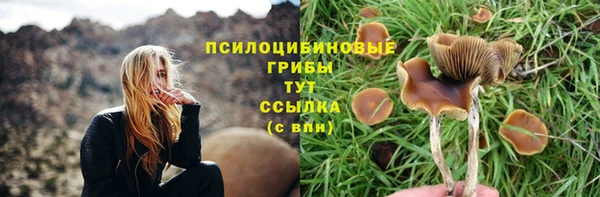 Альфа ПВП Киреевск