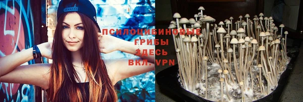 Альфа ПВП Киреевск