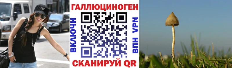 Купить закладки  Озёры  Галлюциногенные грибы Psilocybe 